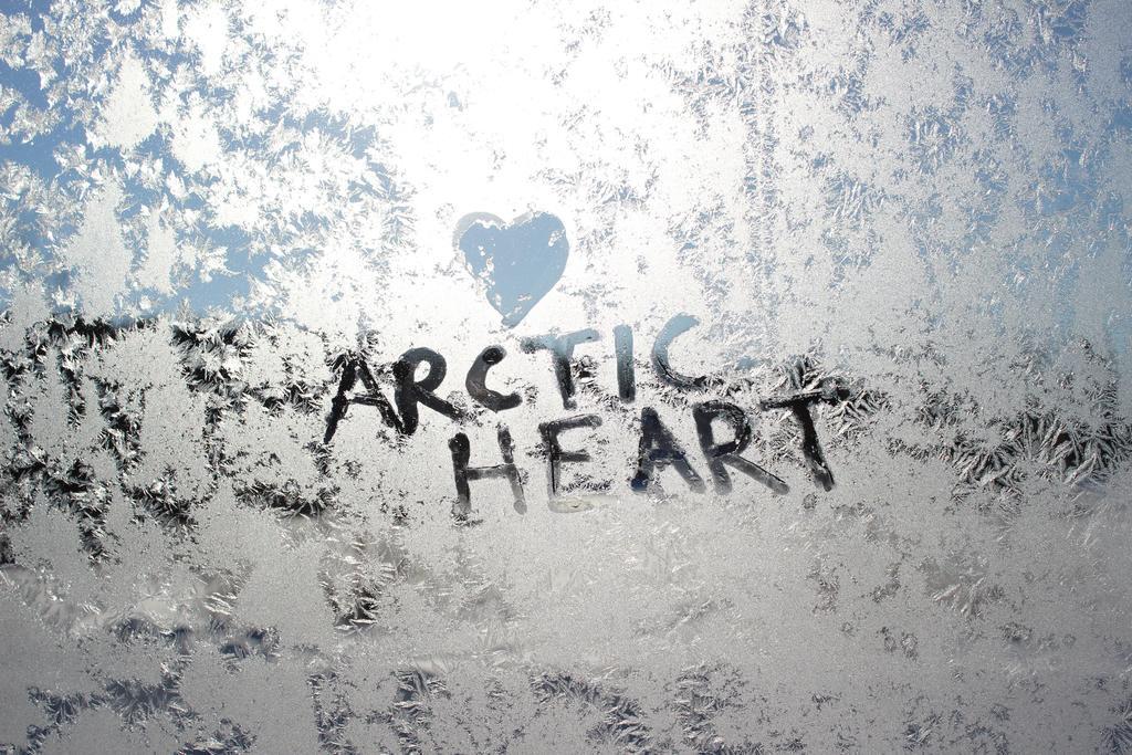 Guesthouse Arctic Heart Рованиеми Экстерьер фото